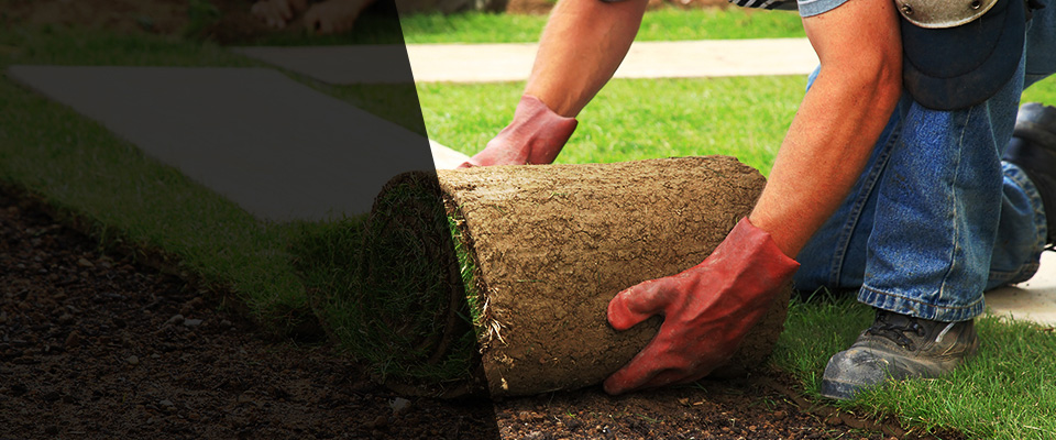 Minooka Landscapers